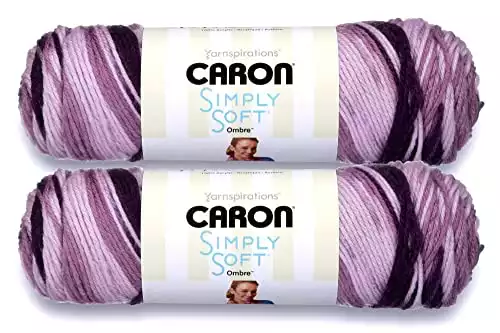 Caron Simply Soft Ombres Acrylic Yarn (2-Pack)